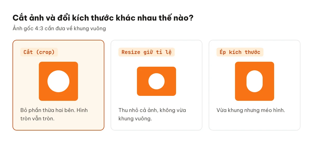 So sánh cắt ảnh (crop), đổi kích thước giữ tỉ lệ và đổi kích thước làm méo ảnh