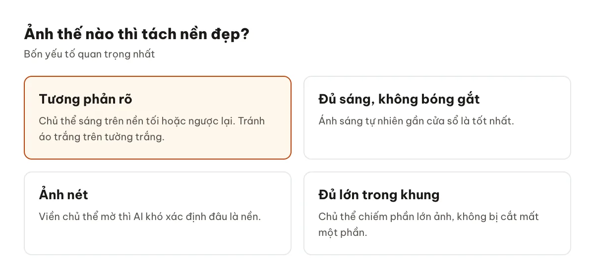 Các yếu tố giúp ảnh tách nền đẹp: tương phản, ánh sáng, nét và khoảng cách