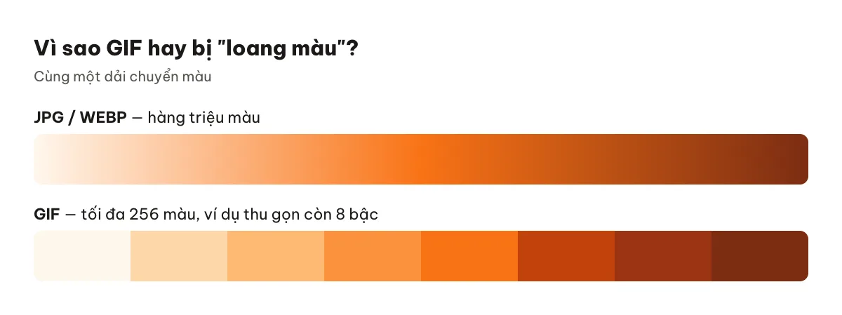 Minh hoạ giới hạn 256 màu của GIF so với hàng triệu màu của JPG và WEBP