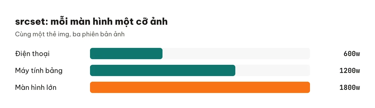 Minh hoạ srcset: điện thoại tải ảnh 600 pixel, máy tính tải ảnh 1200 pixel từ cùng một thẻ img