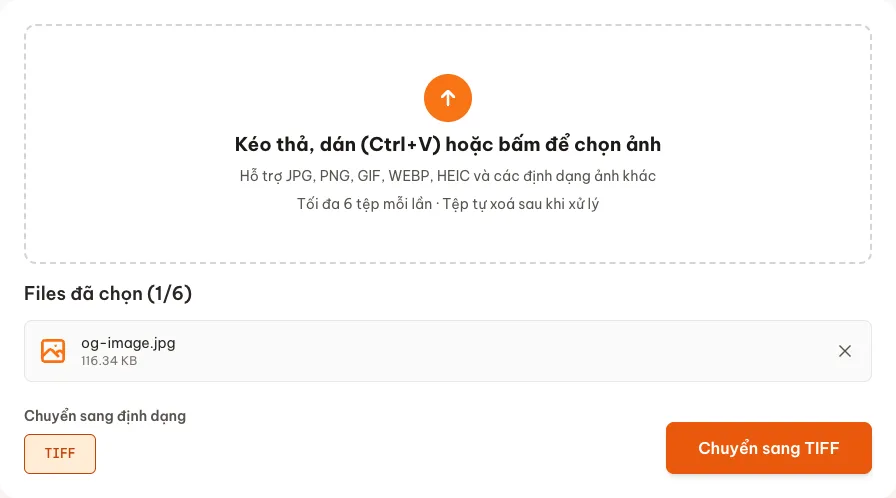 Công cụ chuyển ảnh sang TIFF trên Convert.com.vn với một ảnh đã chọn