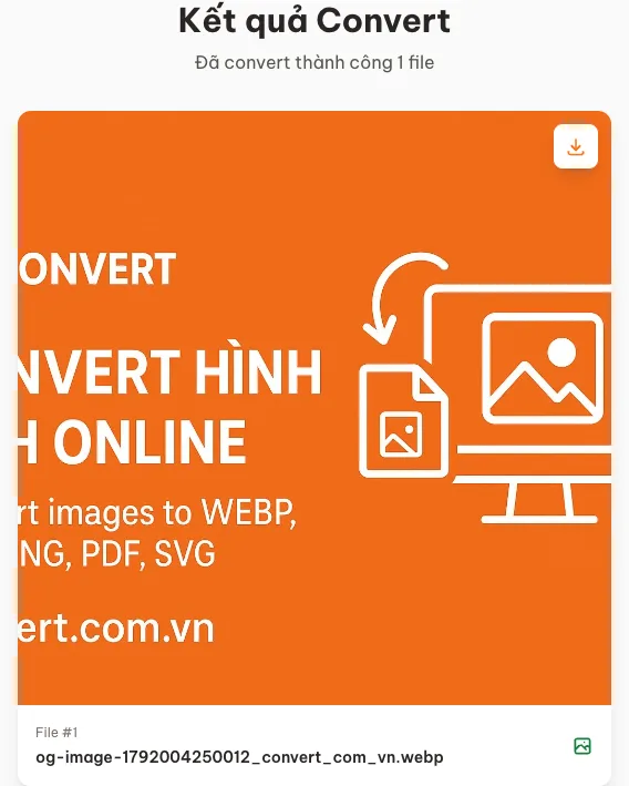 Kết quả chuyển một ảnh JPG sang WEBP trên Convert.com.vn